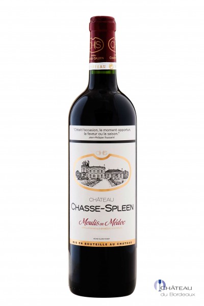 2011 Château Chasse-Spleen