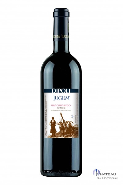 2010 Peter Dipoli Iugum